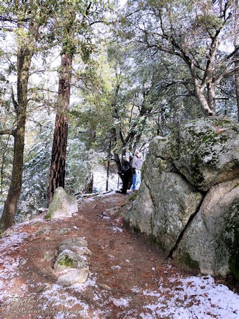 Pleasant drive and options to other trails. Ernie Maxwell Scenic Trail Hike - Marine Corps Nomads