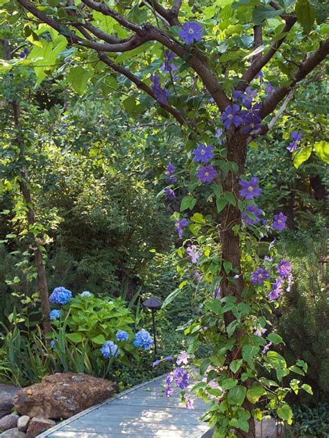 20 Shade Garden Design Ideas That Prove You Can Grow Colorful Plants