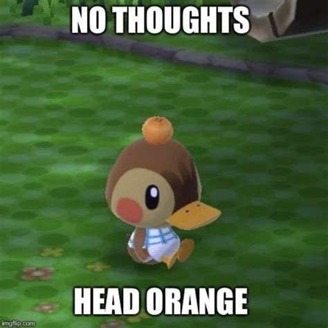 Pin By Kc On Reaction Memes Uwu Animal Crossing Funny Animal