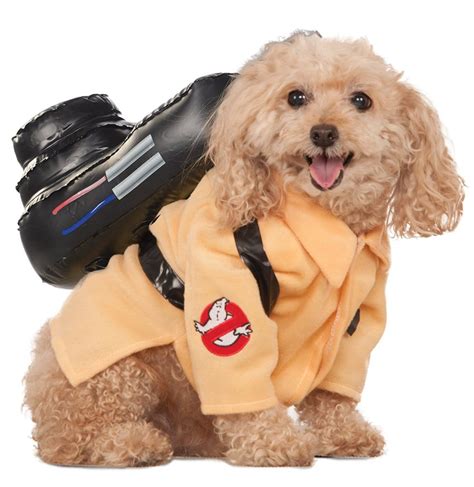 12 Perfect Last Minute Halloween Costumes For Your Dog