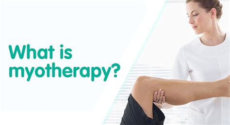 What Is Myotherapy And Its Benefits Elite Myotherapy