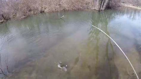 Looking For Crappie At Lake Marburg Hanover Pa Youtube