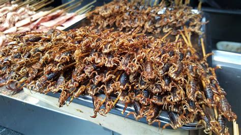 The Ultimate Edible Insect Travel Guide China Edible Insects China Travel Guide Insect