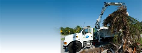 Mosquito control experts for the pinecrest area. Public Works & Waste Management Home - Miami-Dade County