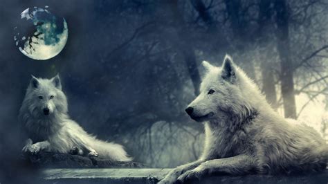 Die 74 Besten Wölfe Hintergrundbilder