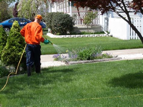 Residential Lawn Service Mowing Edging Weed Eating Blowing And More