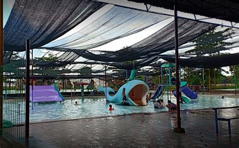 Biaya jasa pembuatan kolam renang per m2 ( sistem skimer ), update 2020. Kolam Renang Batang Sari Pamanukan - 42 Tempat Wisata Di ...