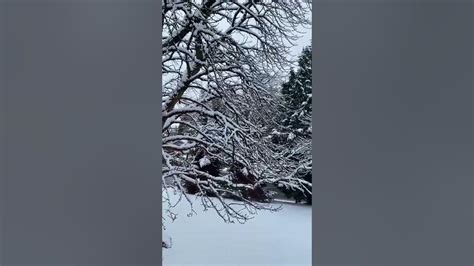Winter Season In Canada Youtube