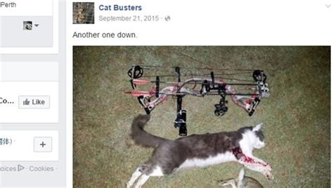 Cat Busters Facebook Page Posts Graphic Images Of Dead Cats Herald Sun