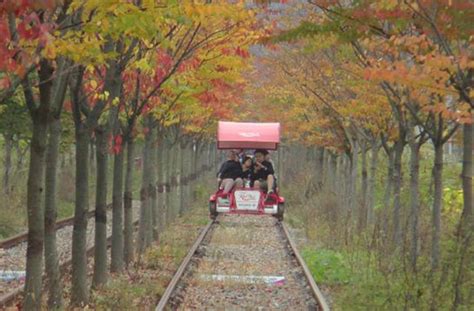 Nami Island Petite France And Garden Of Morning Calm Tour With