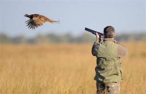 Chasse un secteur qui génère plus de 1 milliard de dirhams de valeur