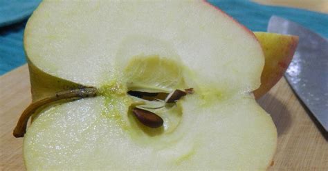 Plants Are Chemists Are Apple Seeds Poisonous Plant Cyanogenic