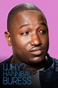 Why? With Hannibal Buress Pictures - Rotten Tomatoes