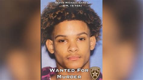 19 year old with identical twin wanted for murder in paulding county