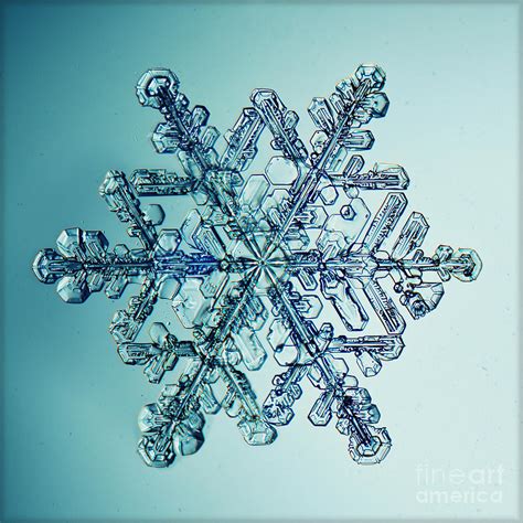 Ice Crystal Snowflake Macro Photograph By Kichigin Fine Art America