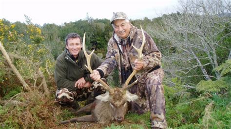 Hunt Silka Deer Trophy Hunting Big Game Animals