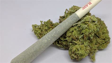 Expert Tips On How To Roll A Joint