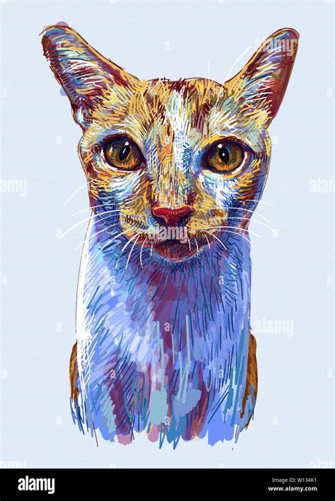 Ginger Cat Retrato De Lindo Gatito Aislado Sobre Fondo Azul Claro