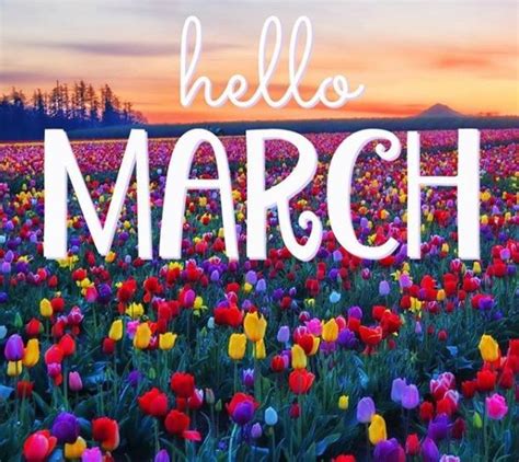 Hello March Wallpaper Hello March March Quotes March Month