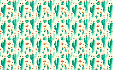 Cute Cactus Desktop Wallpapers Top Free Cute Cactus Desktop