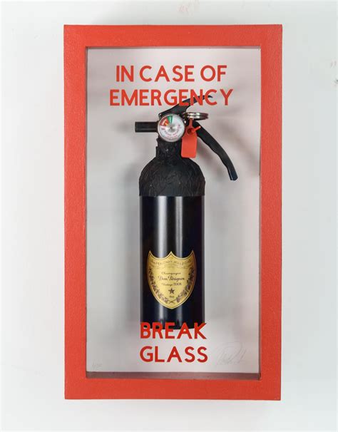 In Case Of Emergency Break Glass Champagne Fire Extinguishers Comp