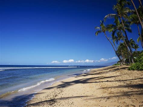 10 Best Beaches In Maui Best Beaches In Maui Most Beautiful Beaches