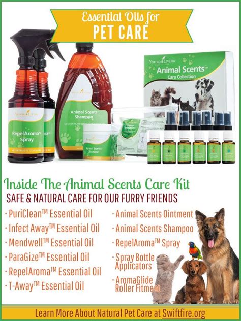This story was originally published by alexandra koehn at wtvf. Safe & Natural Pet Care & Grooming with Essential Oils ...