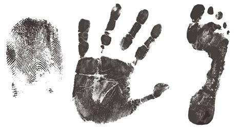 Finger Hand And Feet Print Ink Variation Abstract Vector Ink