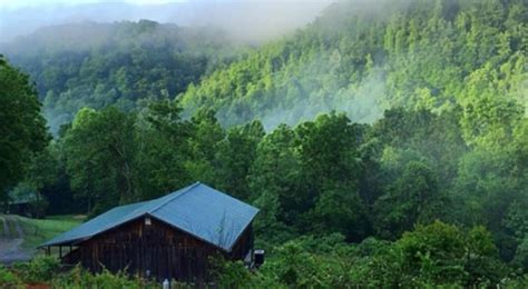 This Cozy Cabin In The Virginia Woods Will Take You Off The Grid In The