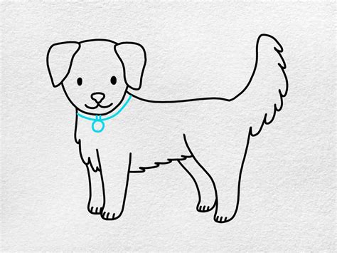 How To Draw A Golden Retriever Puppy Step By Step For Kids