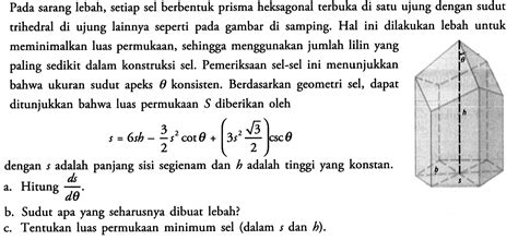 Pada Sarang Lebah Setiap Sel Berbentuk Prisma Heksagonal