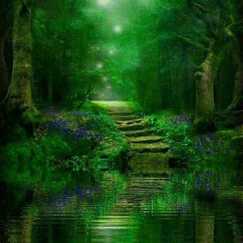 In My Books Sprites Always Show The Way Home Nature