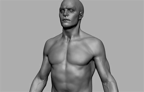 Select from premium male anatomy images of the highest quality. ArtStation - Male Anatomy Collection | Game Assets