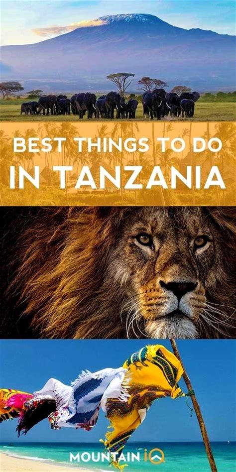 5 Best Things To Do In Tanzania After Your Tanzania Travel Wildlife