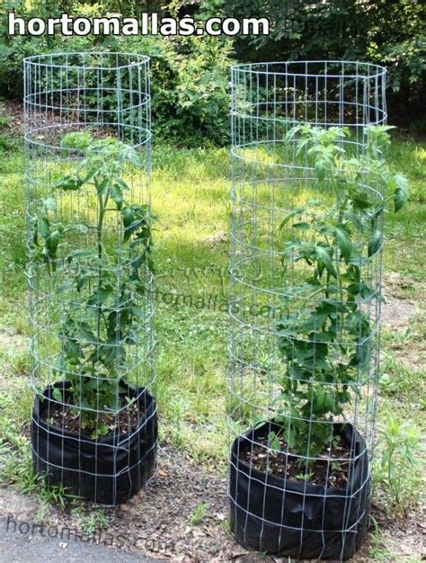 Remesh Tomato Cages Are One Of The Best Plant Support Technique