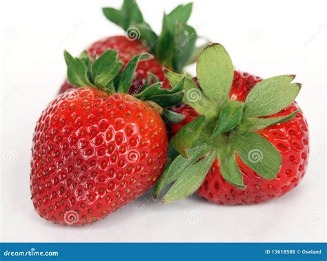 Three Isolated Strawberries Stock Photo Image Of Isolated Group