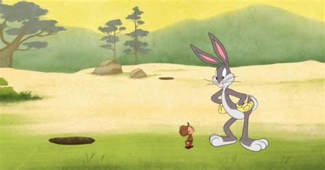 Die Neue Looney Tunes Show Alles Zur Serie Tv Spielfilm