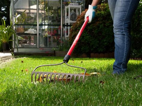 This guide covers using a dethatching rake and power rake. How to Dethatch a Lawn with a Rake