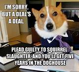 Images of Lawyer Dog Meme