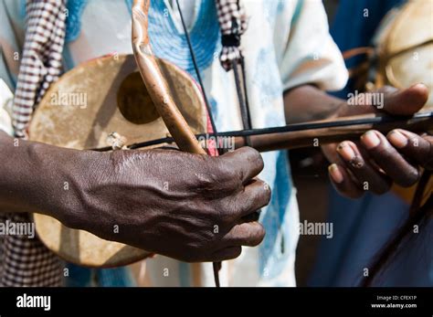 Während Flotte Kollidieren West African String Instrument Möbel