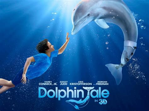 Every day, we'll be updating this list of movies, series, and documentaries that are scheduled for removal from netflix throughout september 2019. Movie day …. True story: "Dolphin Tale"!! | It Is What It Is