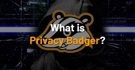 What Is Privacy Badger