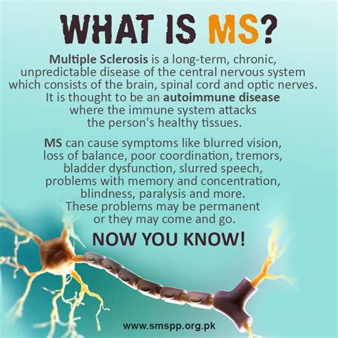 What Is Ms Multiple Sclerosis Is A Long Term Chronic Unpredictable Disease Of The C