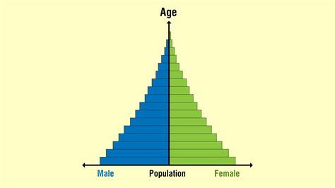 3 Types Of Population Pyramids