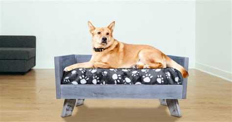 Sassy Paws Raised Wooden Pet Bed With Removable Cushion Iconicpetcom