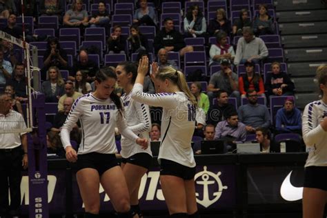 University Portland Volleyball Stock Photos Free And Royalty Free Stock
