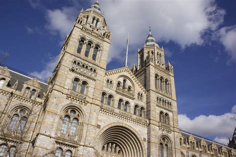 Ten Interesting Facts And Figures About Londons Natural History Museum