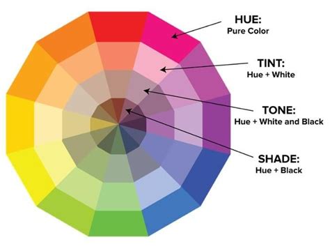 The Color Wheel Is Labeled In Different Colors