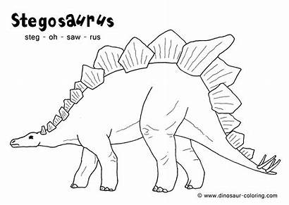 Dinosaur Coloring Pages Stegosaurus Pdf Dino Printable