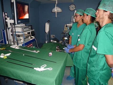 Taller In Vivo De Entrenamiento En Cirugía Urológica Laparoscópica Tercera Edición Fundación